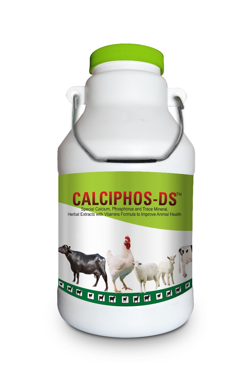 CALCIPHOS-DS